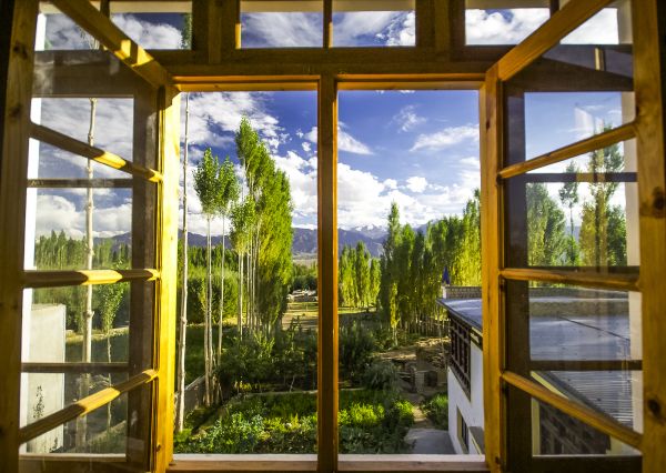 Wood Window Replacement in Belton